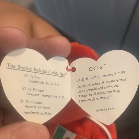 Osito Beanie Baby - Picture 3 of 4